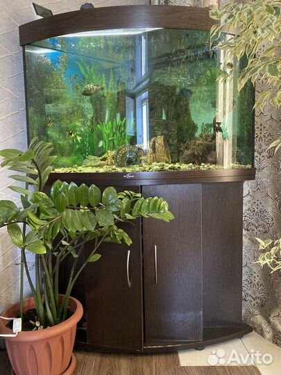 Продам аквариум
