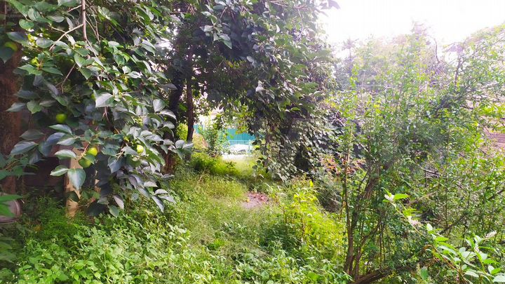 Участок 7,5 сот. (СНТ, ДНП)