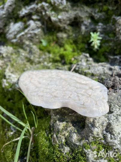 Палитра для маникюра