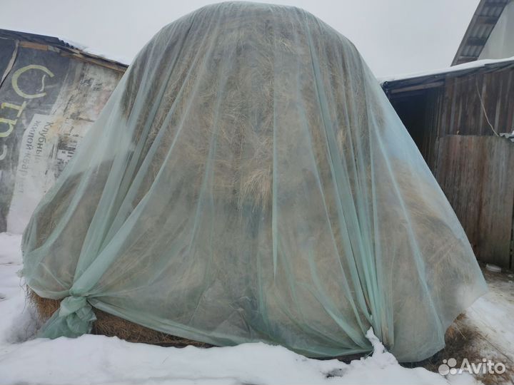 Продам сено в рулонах