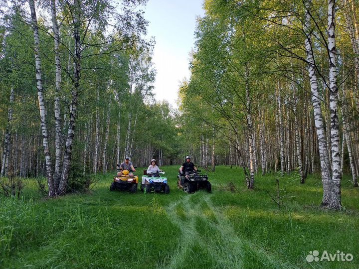 Прокат квадроциклов