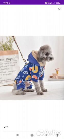 Костюм для животных
