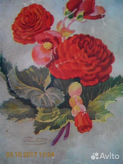 Почтовые карточки СССР и Германии, открытки