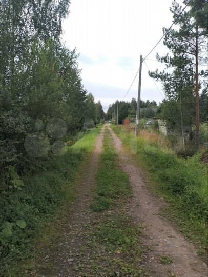 Участок 10 сот. (СНТ, ДНП)