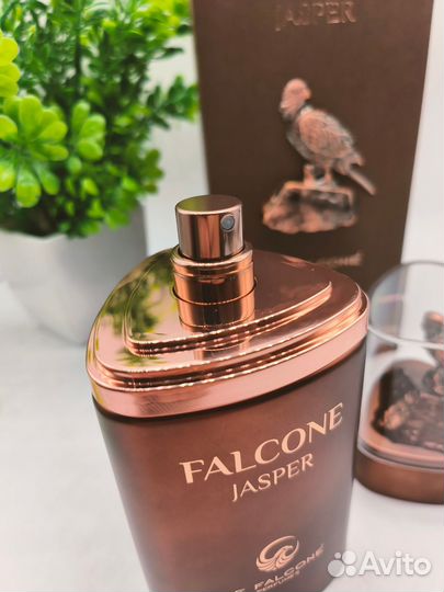 Falcone jasper Eau De Parfum 100 ml