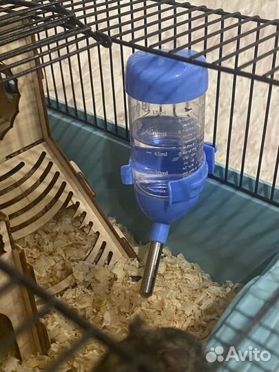 Клетка для хомяка