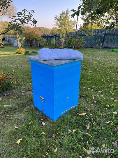 Улей для пчел новый