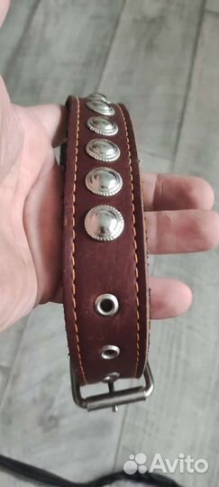 Ошейник с поводком для собаки