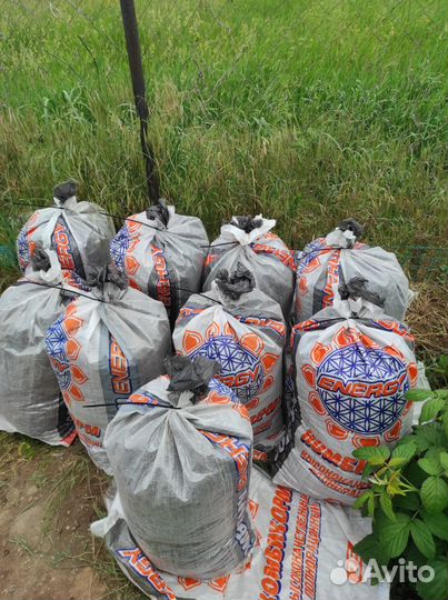 Перепелиный помет