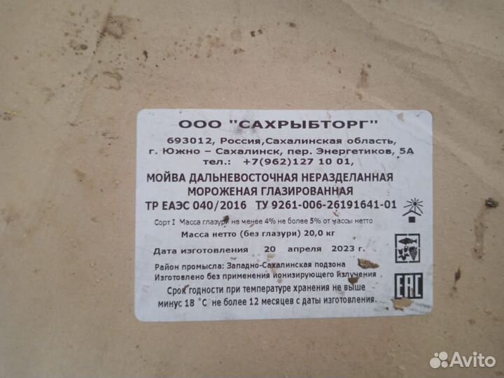 Рыба Мойва крупная