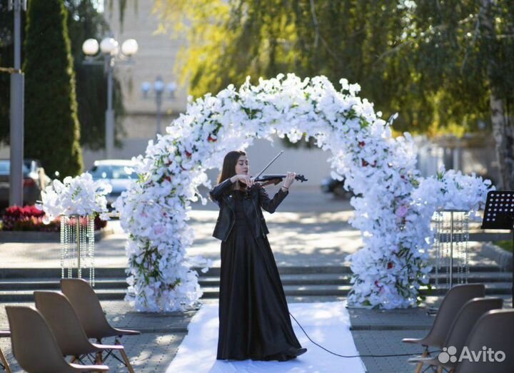 Скрипка на праздник. Воронеж, Орел