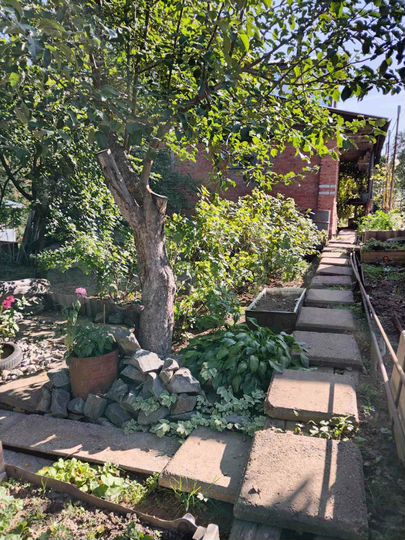 Дача 50 м² на участке 5 сот.