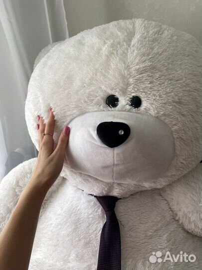 Плюшевый медведь