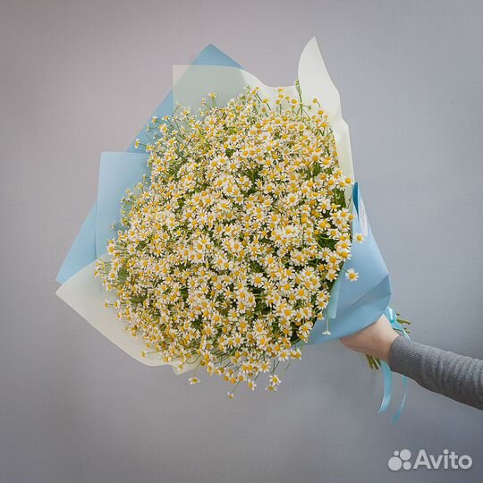 Букет 101 ромашка кустовая кустовая, цветы доставк