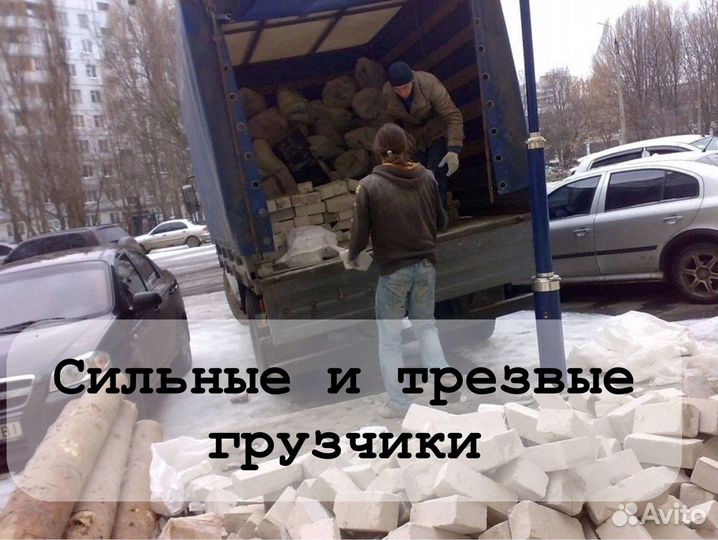 Вывоз контейнером хлама и строй мусора