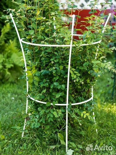 Шпалера садовая металлическая