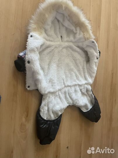 Одежда для собак мелких пород