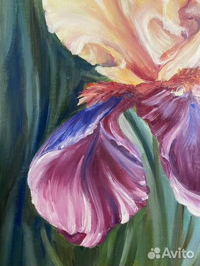 Картина Ирис