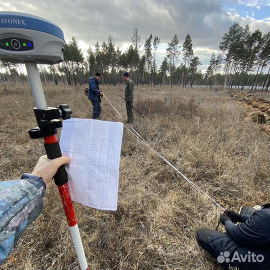 Геодезист, вынос точек