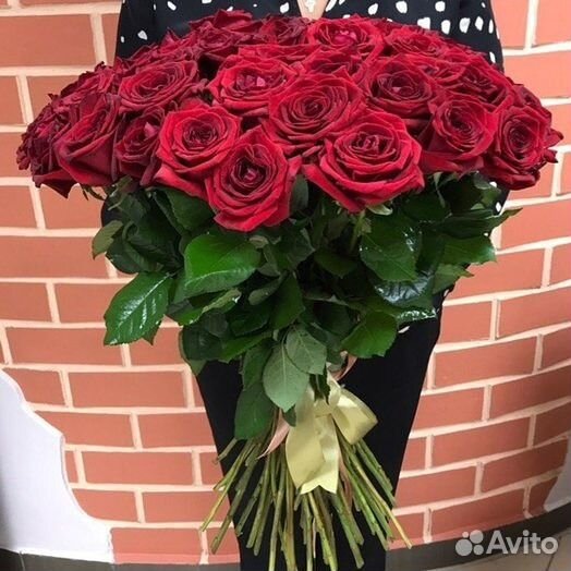 Роза 25, 35, 51,65,75,101,201 штука