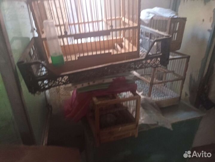 Клетки для птиц