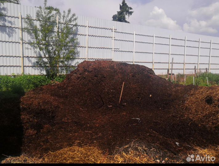 Конский перегной