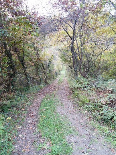 Участок 5 сот. (ИЖС)