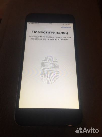 iPhone 6