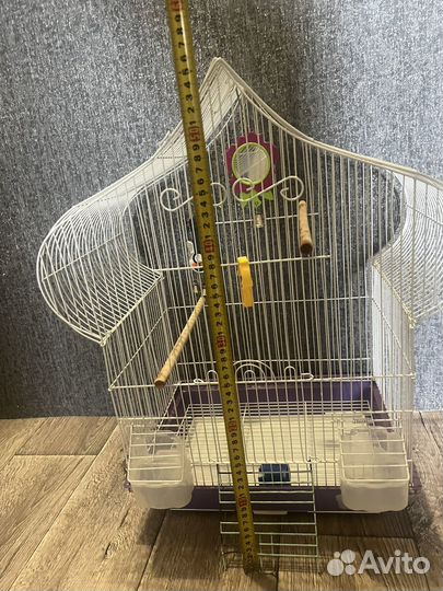 Клека для попугаев