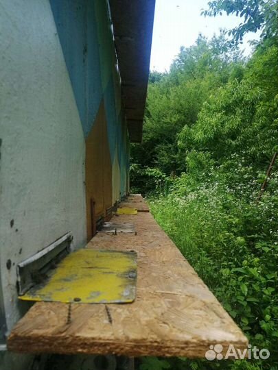 Прицеп, пчелоприцеп, пчелопавильон, пчела