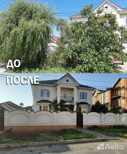 Спил деревьев, Покос травы