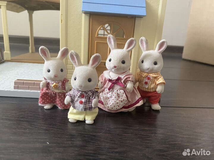 Сильвания фэмили семьи