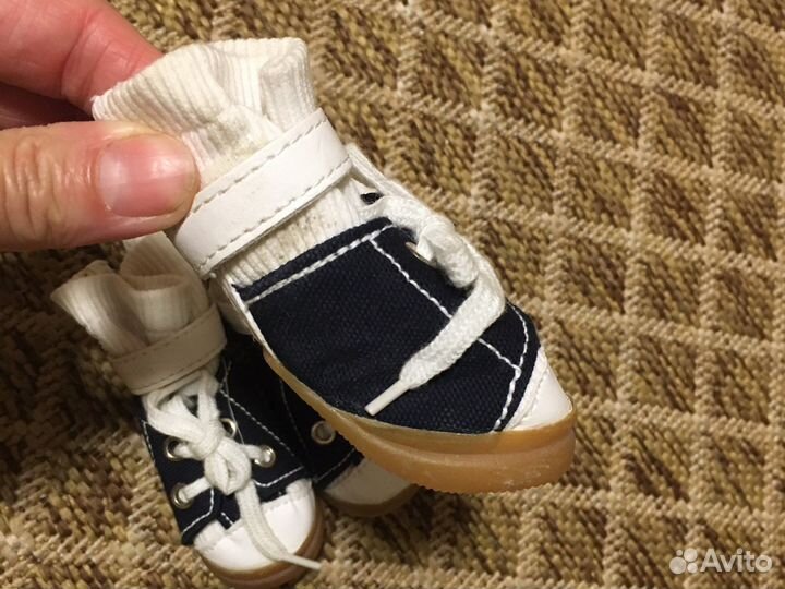 Кеды для собачки