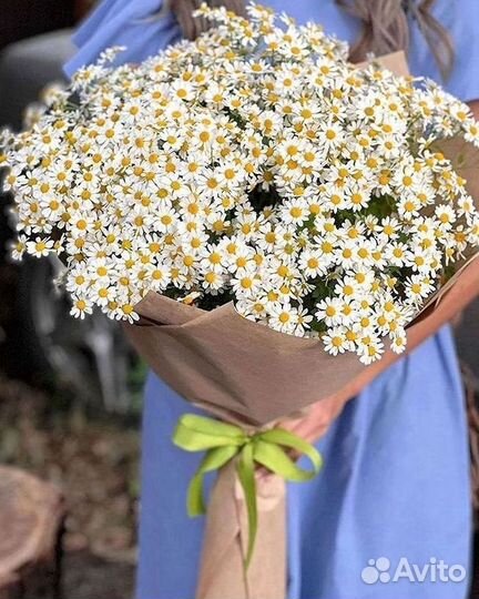 Ромашки букет