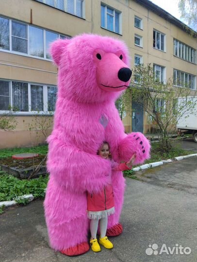 Поздравление. Медведь. Зайка. Панда