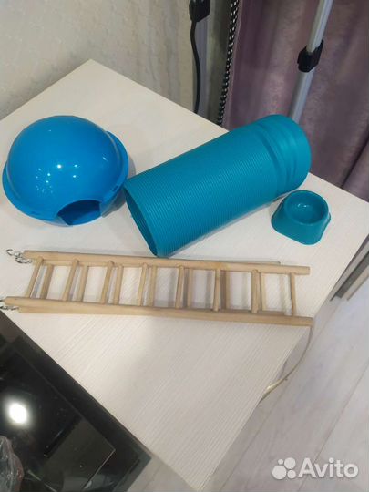 Вещи для животных