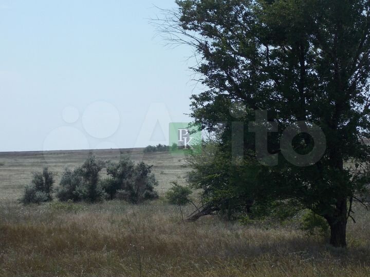 Участок 6 сот. (СНТ, ДНП)