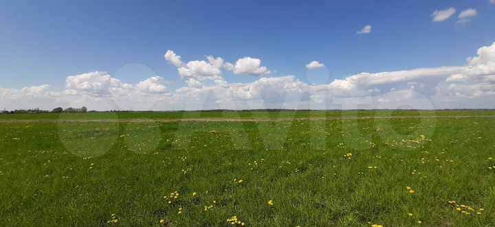 Участок 1,9 га (ИЖС)