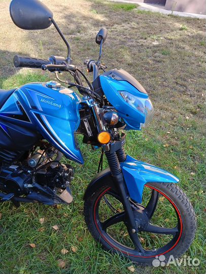 Альфа 50(110) 2022 года