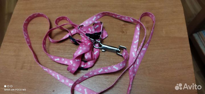 Поводок и ошейник для маленькой собаки или кошки
