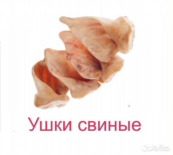 Семенники бычьи, хвосты, мясо, доставка