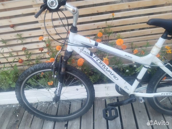 Велосипед forward