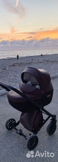 Коляска anex cross 3 в 1