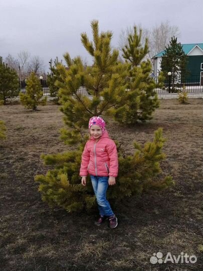 Куртка 104 см