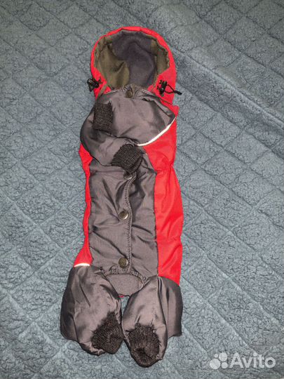 Комбинезон для маленькой собачки