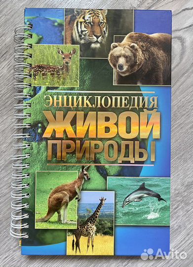 Энциклопедия живой природы для младших школьников