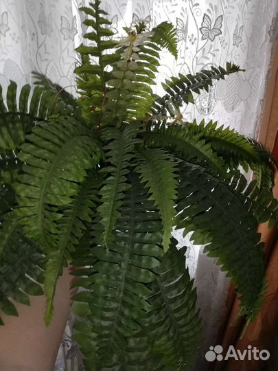 Исскуственные цветы