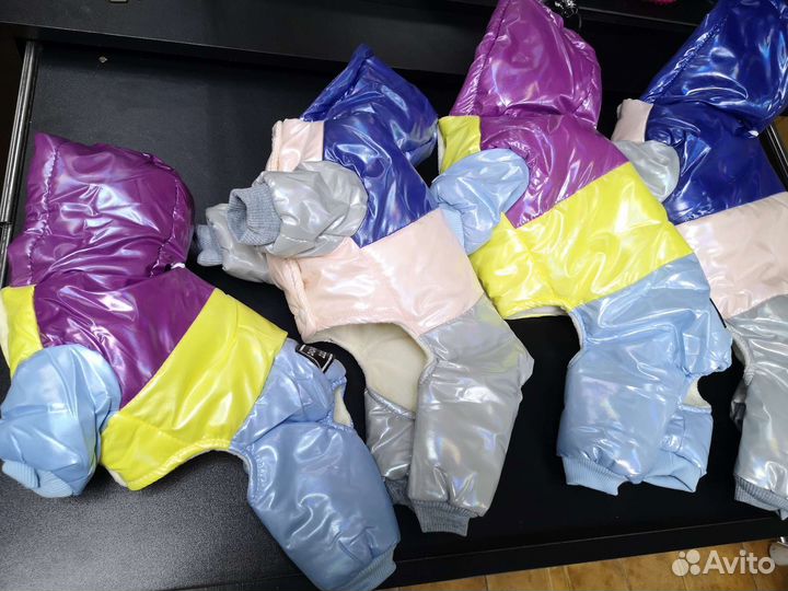 Одежда для животных