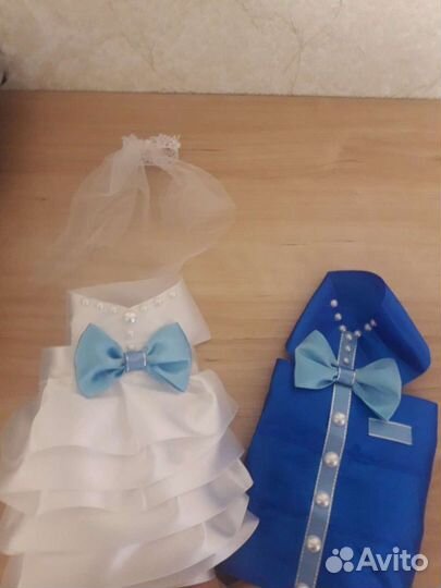 Жених и невеста. Одежда на шампанское