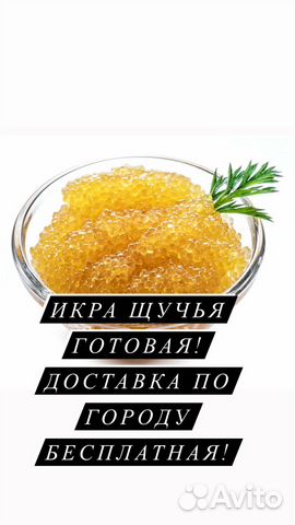 Икра Щуки